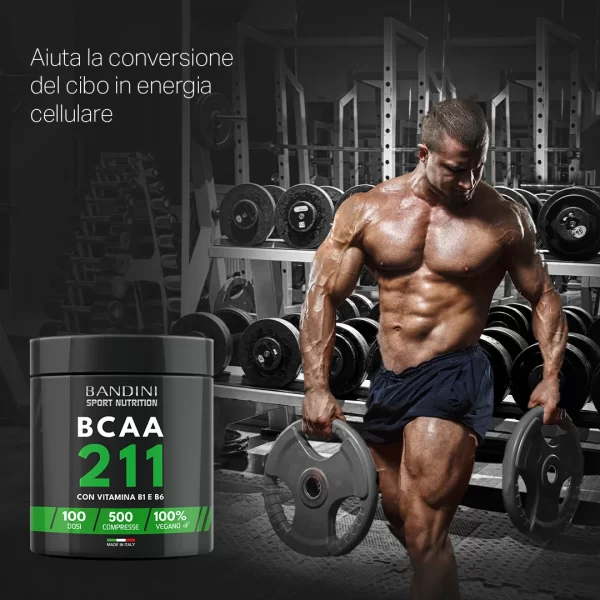 BCAA 211 - 500 tablet - Image 3
