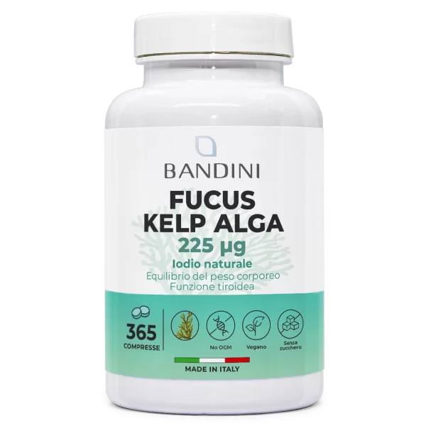 Fucus Kelp Algae - 365 tablet