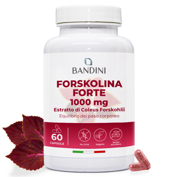 Forskolin - 60 kapsul