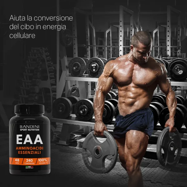 EAA esencialne aminokisline - 240 tablet - slika 3
