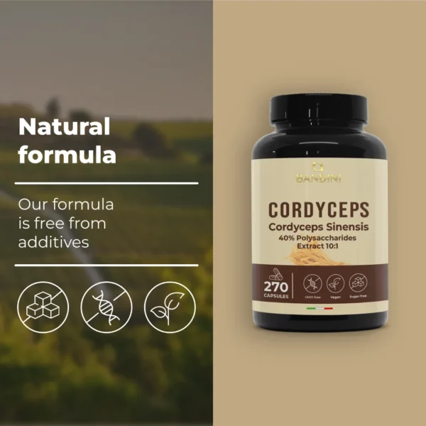 Prehransko dopolnilo s Cordyceps sinensis