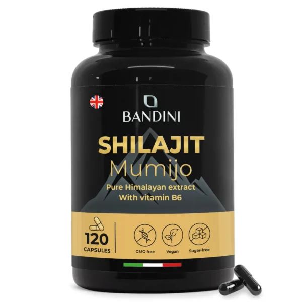 Shilajit 120 Capsule