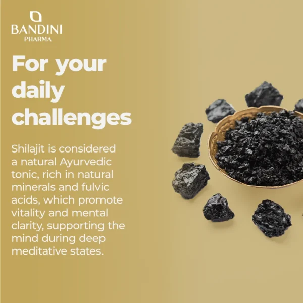 Shilajit It.pt02