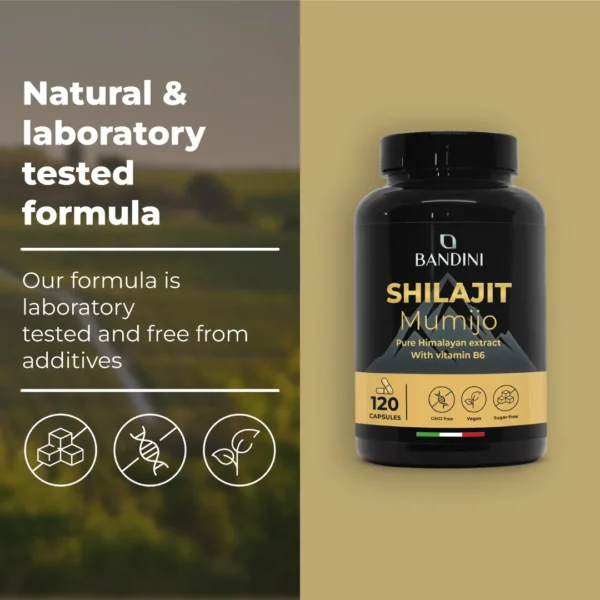 Shilajit It.pt03