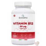 Anteprima principale