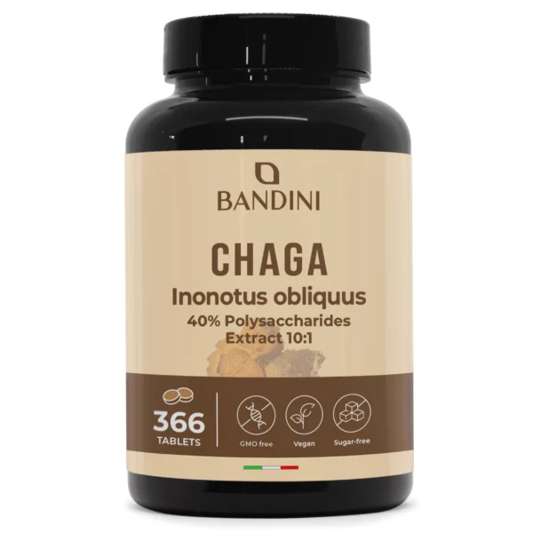 Chaga – 366 tablet
