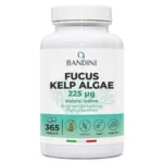 Anteprima principale