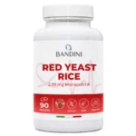 Anteprima principale