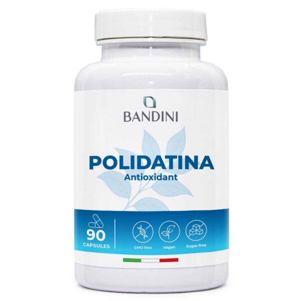 Polidatin – 90 kapsul