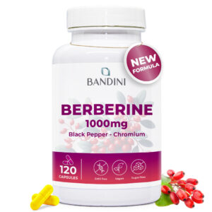 Berberin 120 kapsul BANDINI main