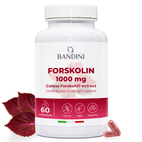 Forskolin – 60 kapsul