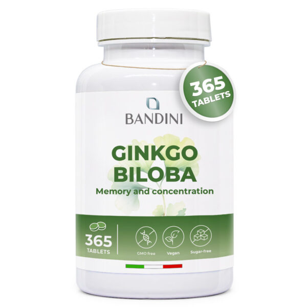 Ginkgo Biloba – 365 tablet