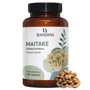 Maitake 120 kapsul BANDINI main