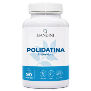 Polidatin 90 kapsul BANDINI main