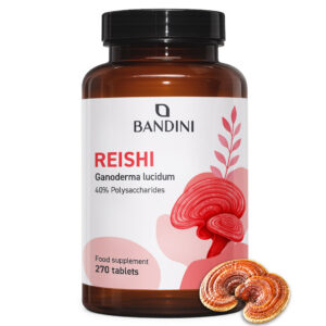 Reishi 270 tablet BANDINI main
