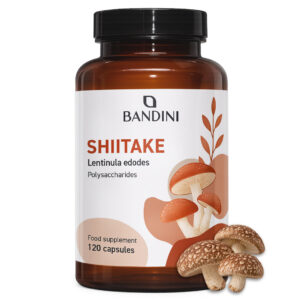 Shiitake 120 kapsul BANDINI main