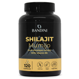 Shilajit 120 kapsul BANDINI main