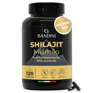 Shilajit 120 kapsul BANDINI main