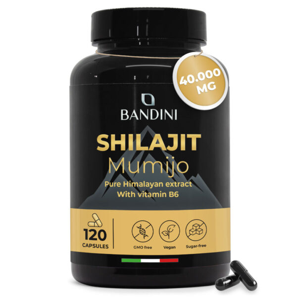 Shilajit – 120 kapsul